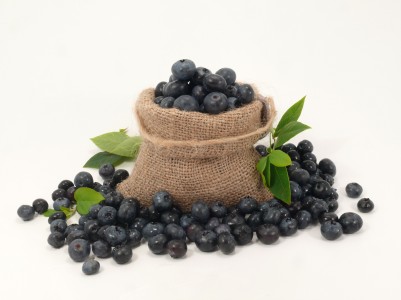 Bilberry - Vaccinium myrtillus L.