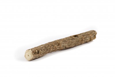Licorice - Glycyrrhiza glabra