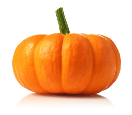 Pumpkin - Cucurbita pepo