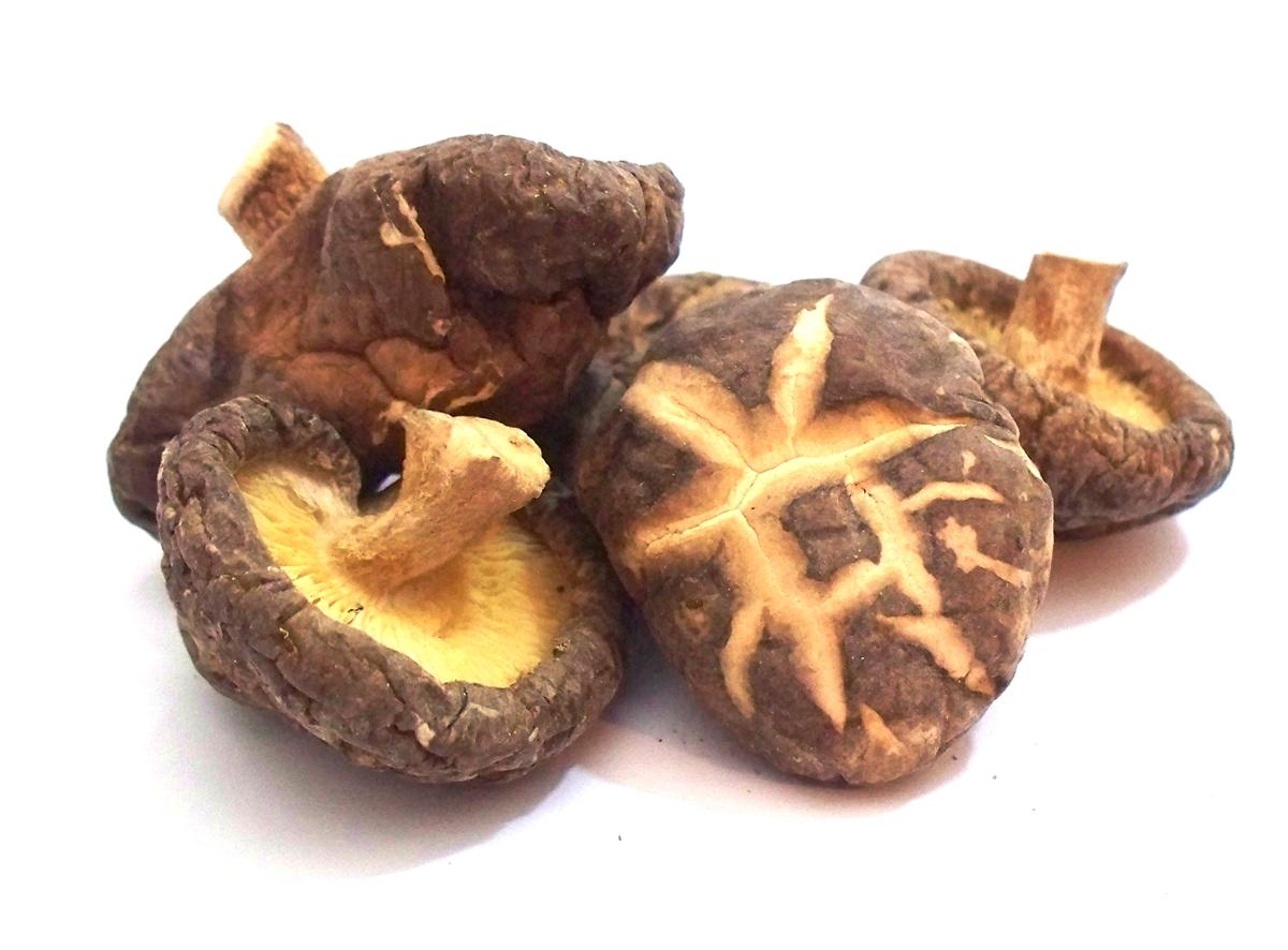 Shiitake - Edible Lentinula