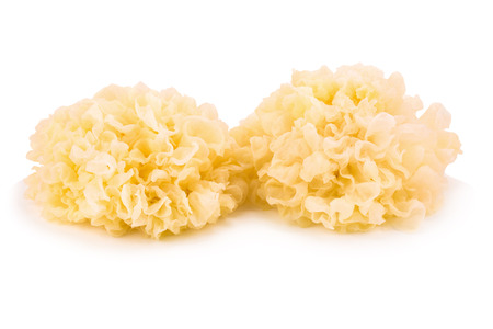 Snow Fungus - Tremella fuciformis