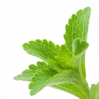 Stevia - Sweetleaf