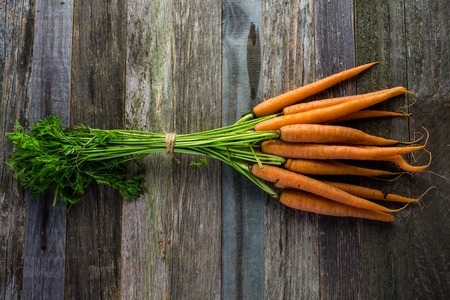 Морква звичайна – Daucus carota