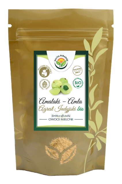 Amla powder BIO 100 g