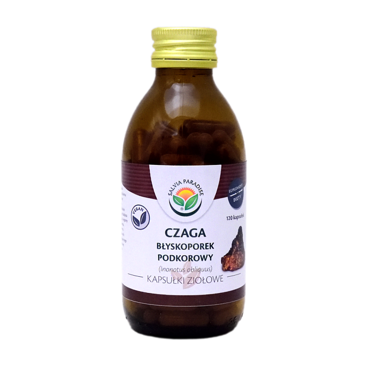 Chaga mushroom capsules 120 pcs