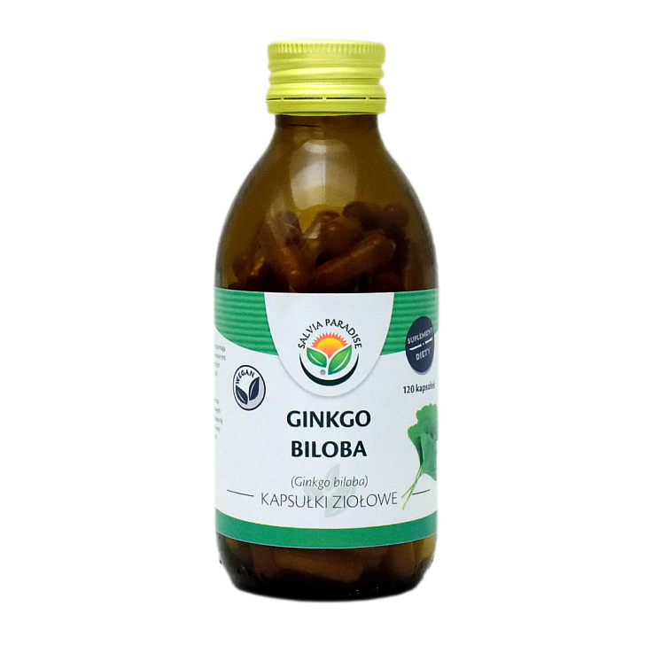 Ginkgo – Jinan capsules 120 pcs